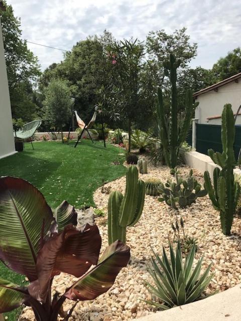 Villa Oha Close Cannes,Nice, Valbonne , Opio Roquefort Les Pins Kültér fotó