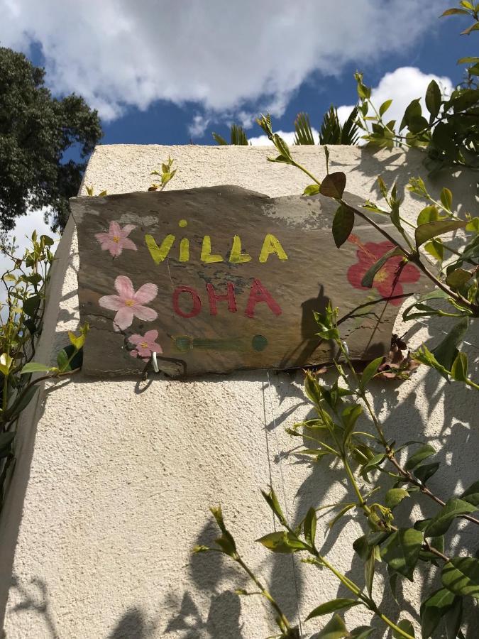 Villa Oha Close Cannes,Nice, Valbonne , Opio Roquefort Les Pins Kültér fotó
